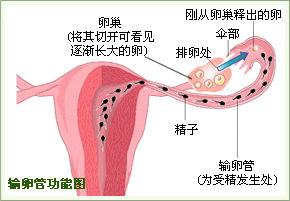 沈阳京科妇科医院如何治疗输卵管堵塞