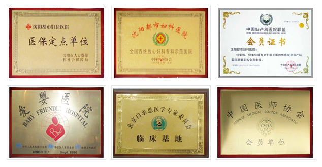 沈阳京科妇科医院荣誉
